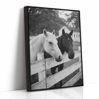 Pasture Gate Conversations