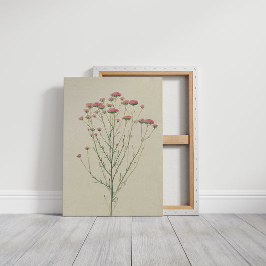 Meadow Gathered Lightly
