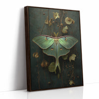 Midnight Moth Among Faded Blooms