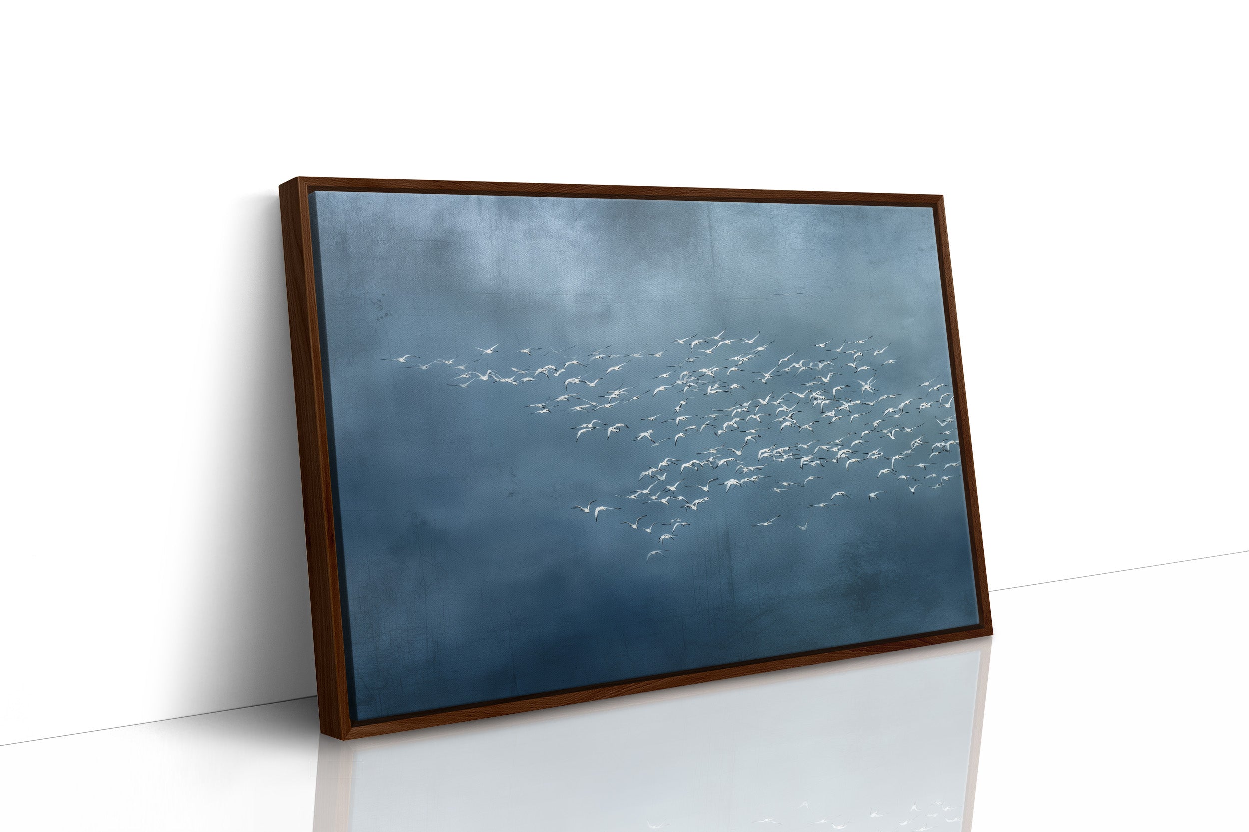 White Wings Across Blue Silence