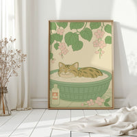 Soak & Purr – Cat Spa Dreams