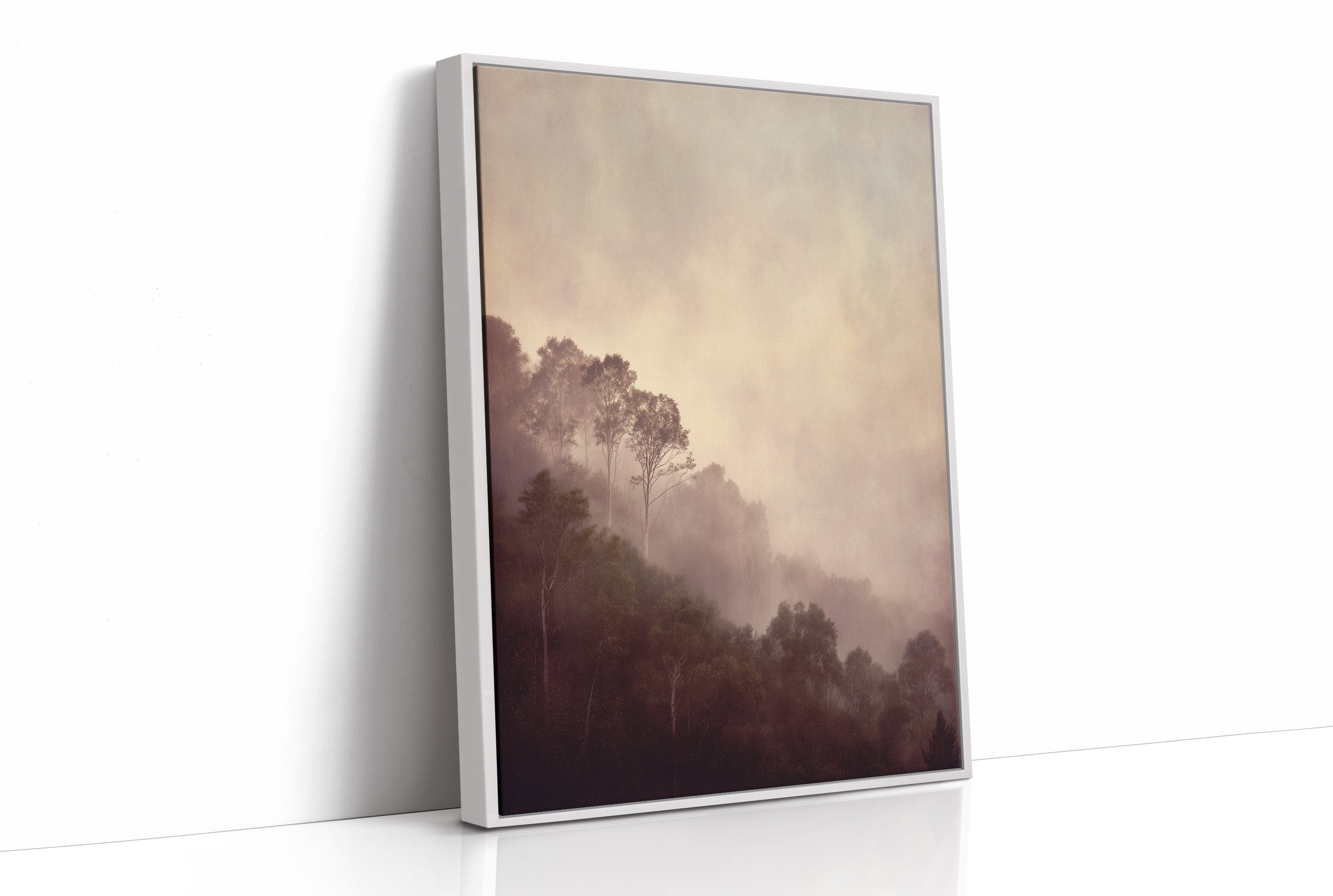 Mist Veils The Ancient Valley