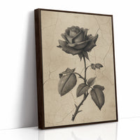 Faded Bloom In Midnight Parlor