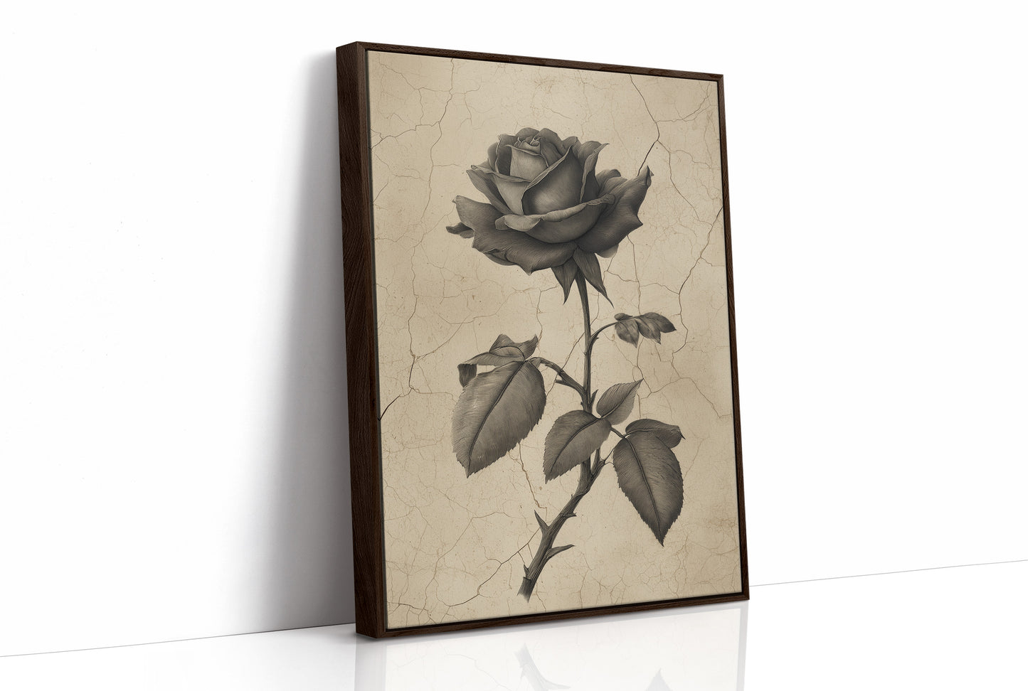 Faded Bloom In Midnight Parlor