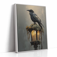 Raven Perches On Ancient Light