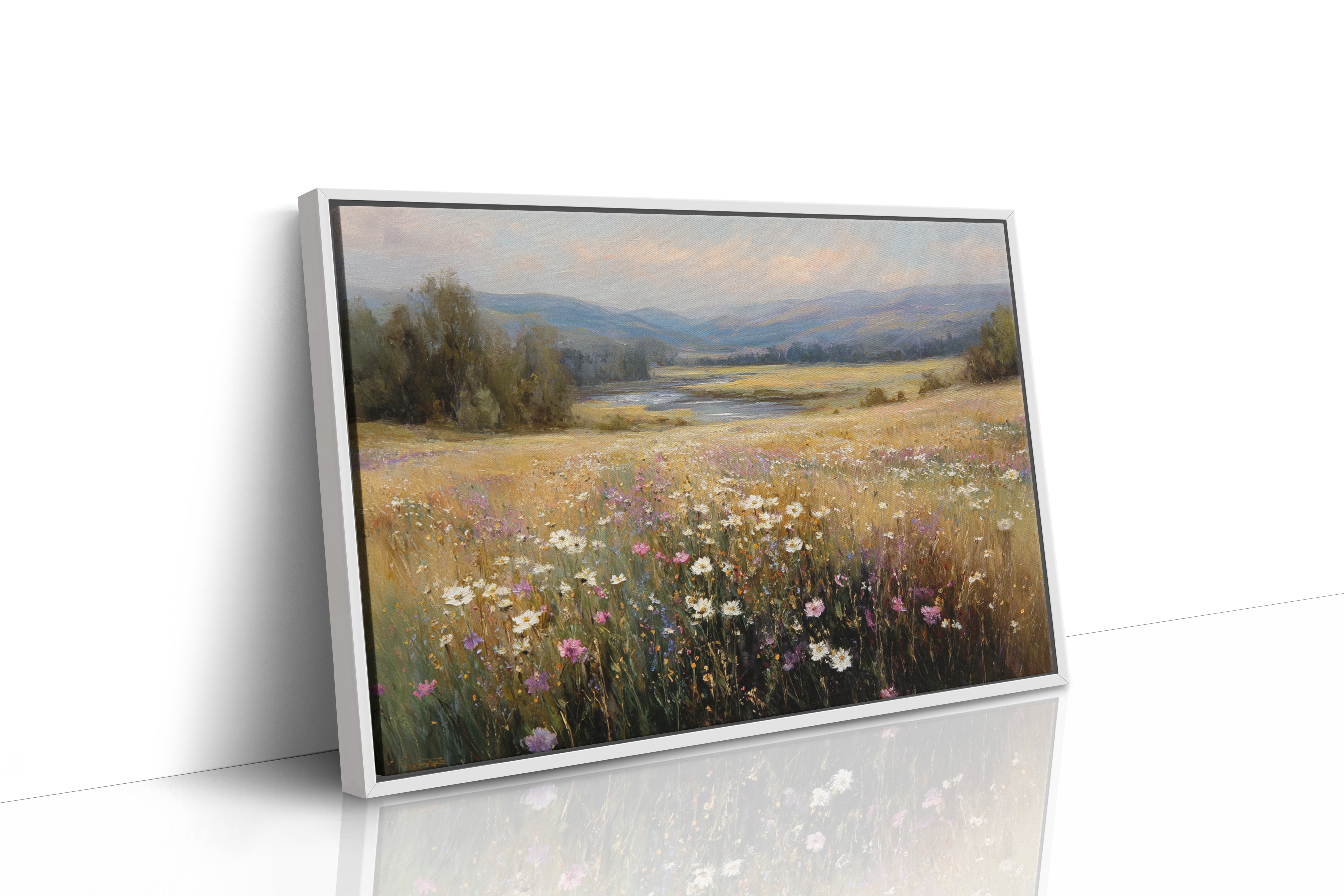 Fields of Color and Light