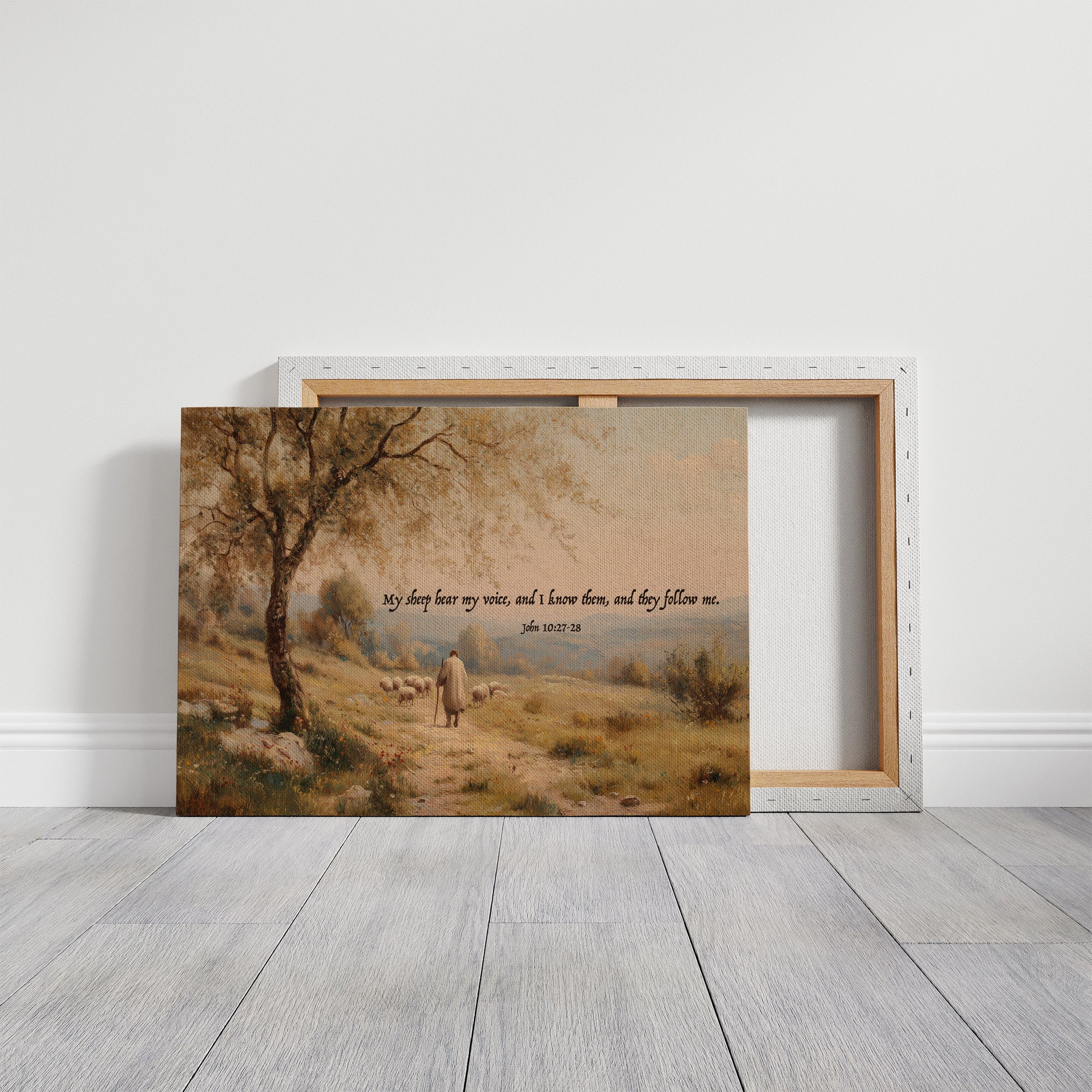 Shepherd's Path In Golden Light