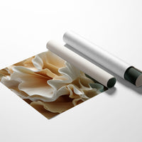 Petals Unfold Like Silk Ribbons