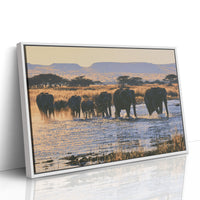 Herd, Crossing at Dusk