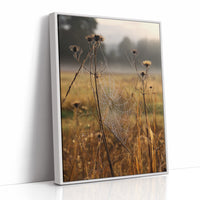 Thistles Catch Dawn's First Light