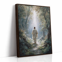 Light Guides The Forest Path