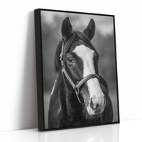 Gentle Spirit