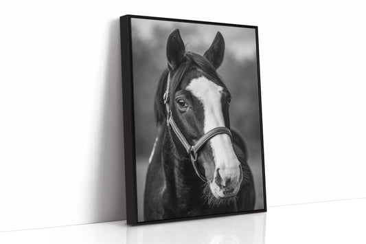Gentle Spirit
