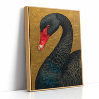 The Black Swan Knows Her Worth