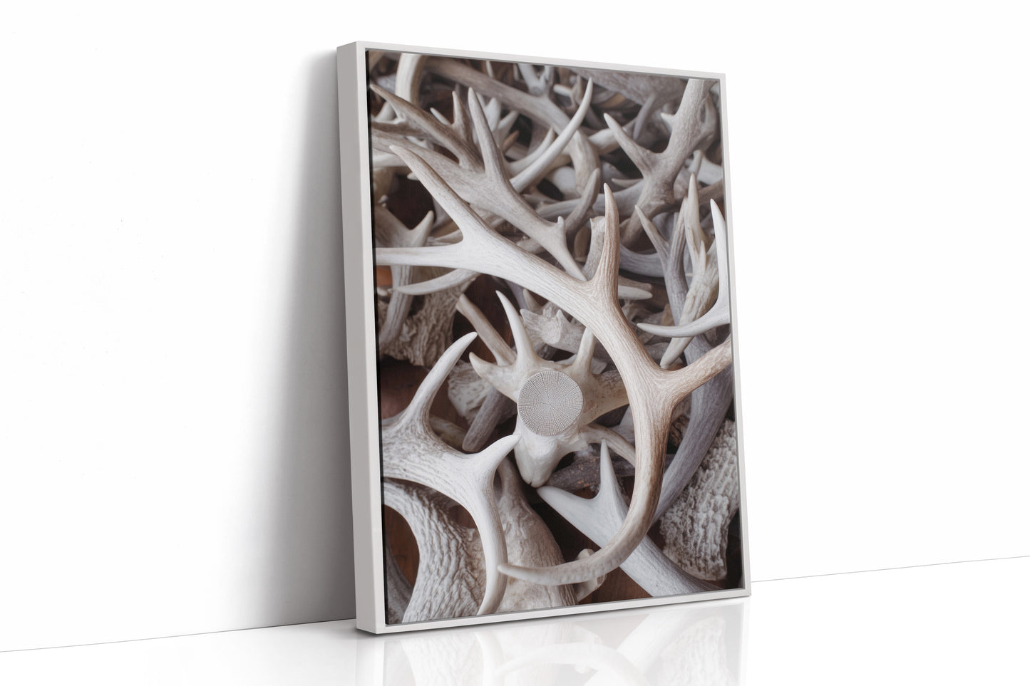 Antlers Tell Tales Of Winter