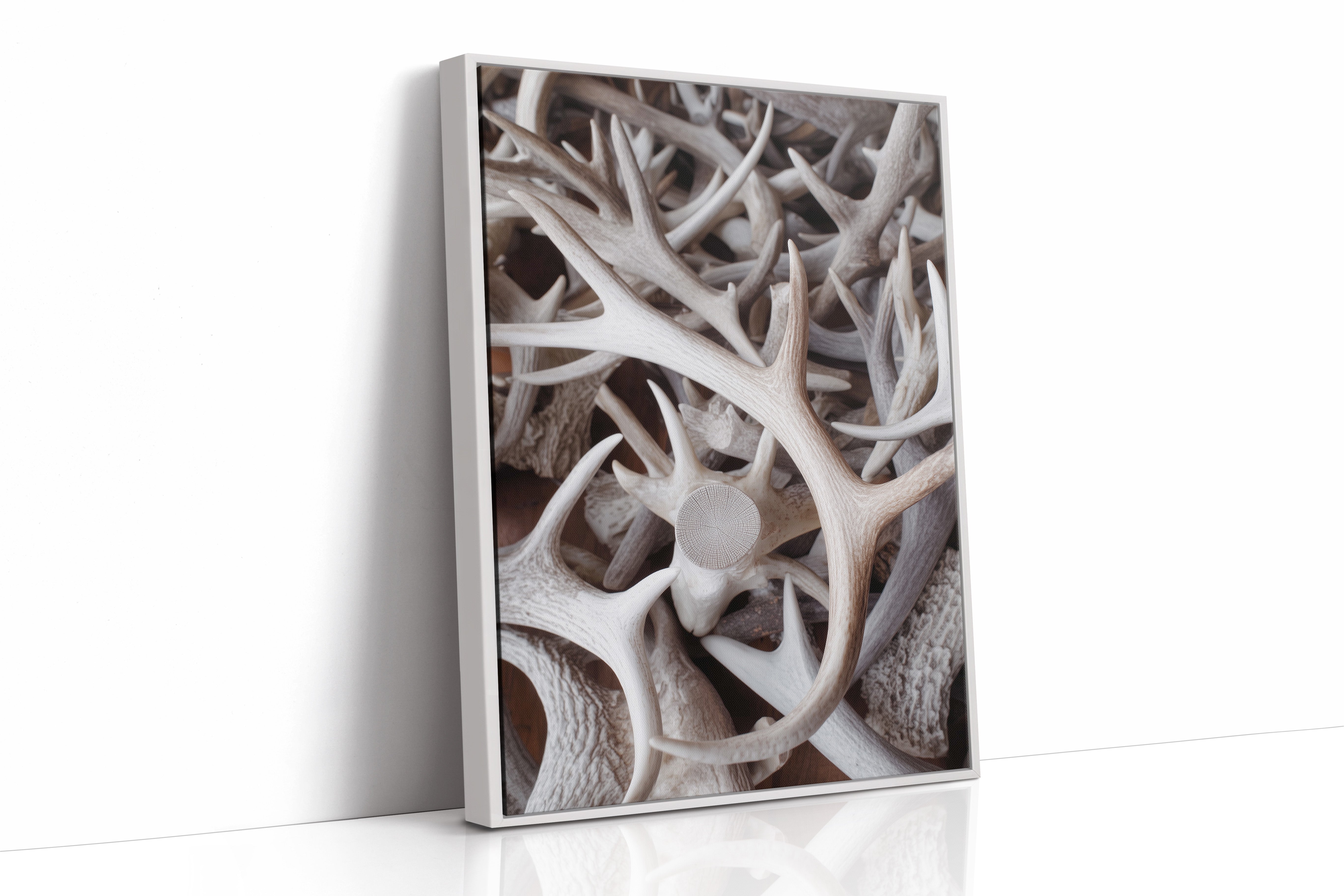 Antlers Tell Tales Of Winter