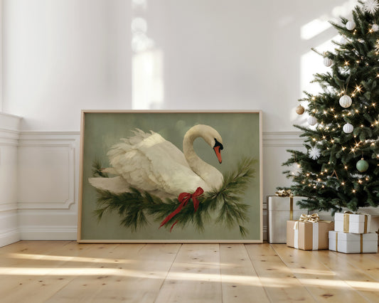 Winter Swan Among Pine Branches