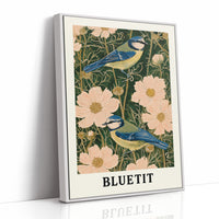 Blue Tits Among Cosmos Blooms