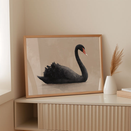 Black Swan Glides Through Blush Dawn