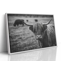Gaze of the Highland Guardian