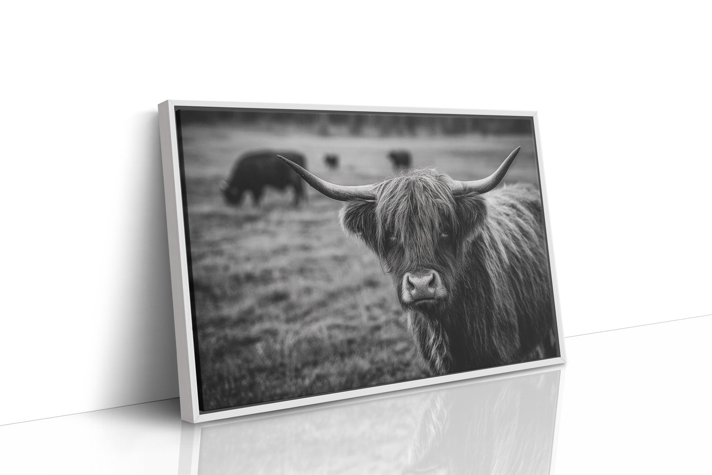 Gaze of the Highland Guardian