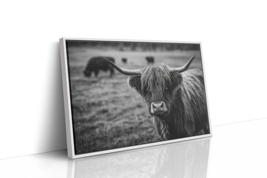 Gaze of the Highland Guardian