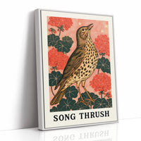 Song Thrush Among Geraniums