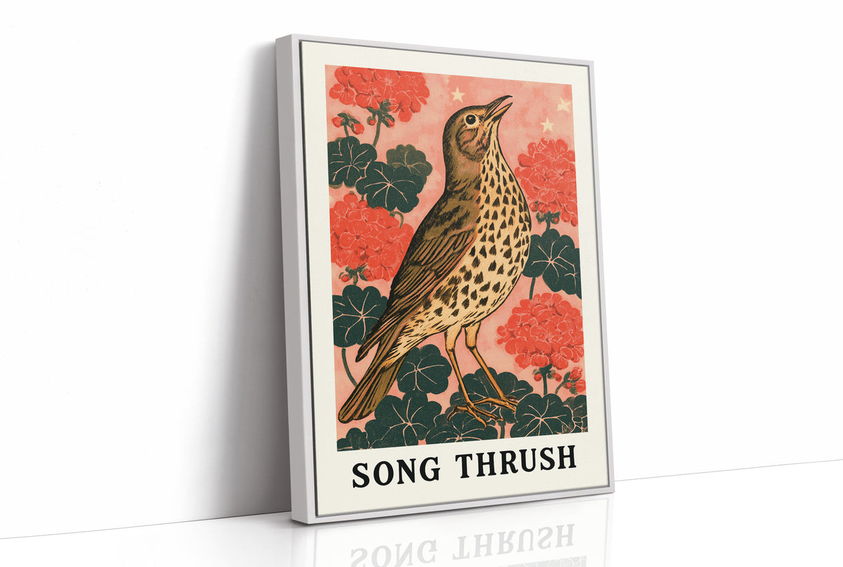 Song Thrush Among Geraniums