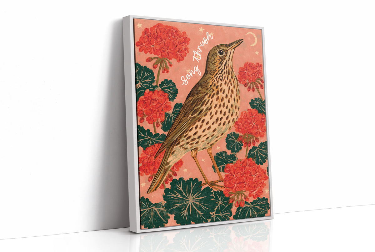Song Thrush Under a Crescent Moon