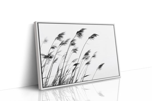 Swaying Secrets of the Marsh