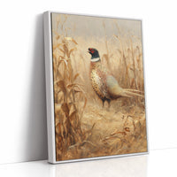 Pheasant Stands Among Golden Stalks