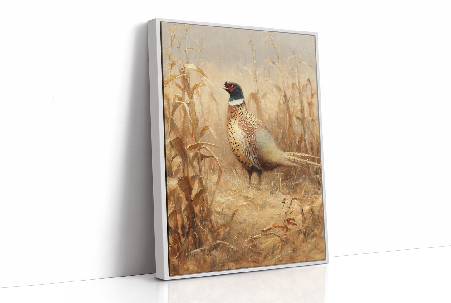 Pheasant Stands Among Golden Stalks