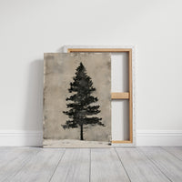 Weathered Pine, Aged Canvas