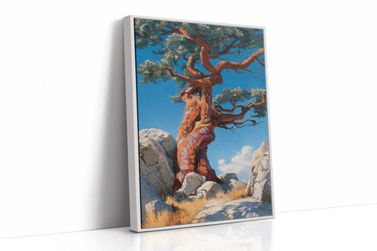 Ancient Pine Tells Mountain Stories