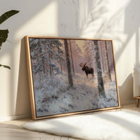 Winter's Light Finds Northern King