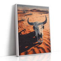 Bones Tell Tales Of Desert Time