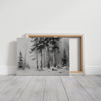 Silent Pines Paint December's Story