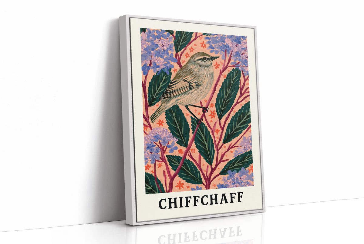 Chiffchaff Among Hydrangeas