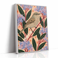 Chiffchaff on a Pink Sprig