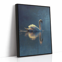 Swan Glides Through Golden Hour