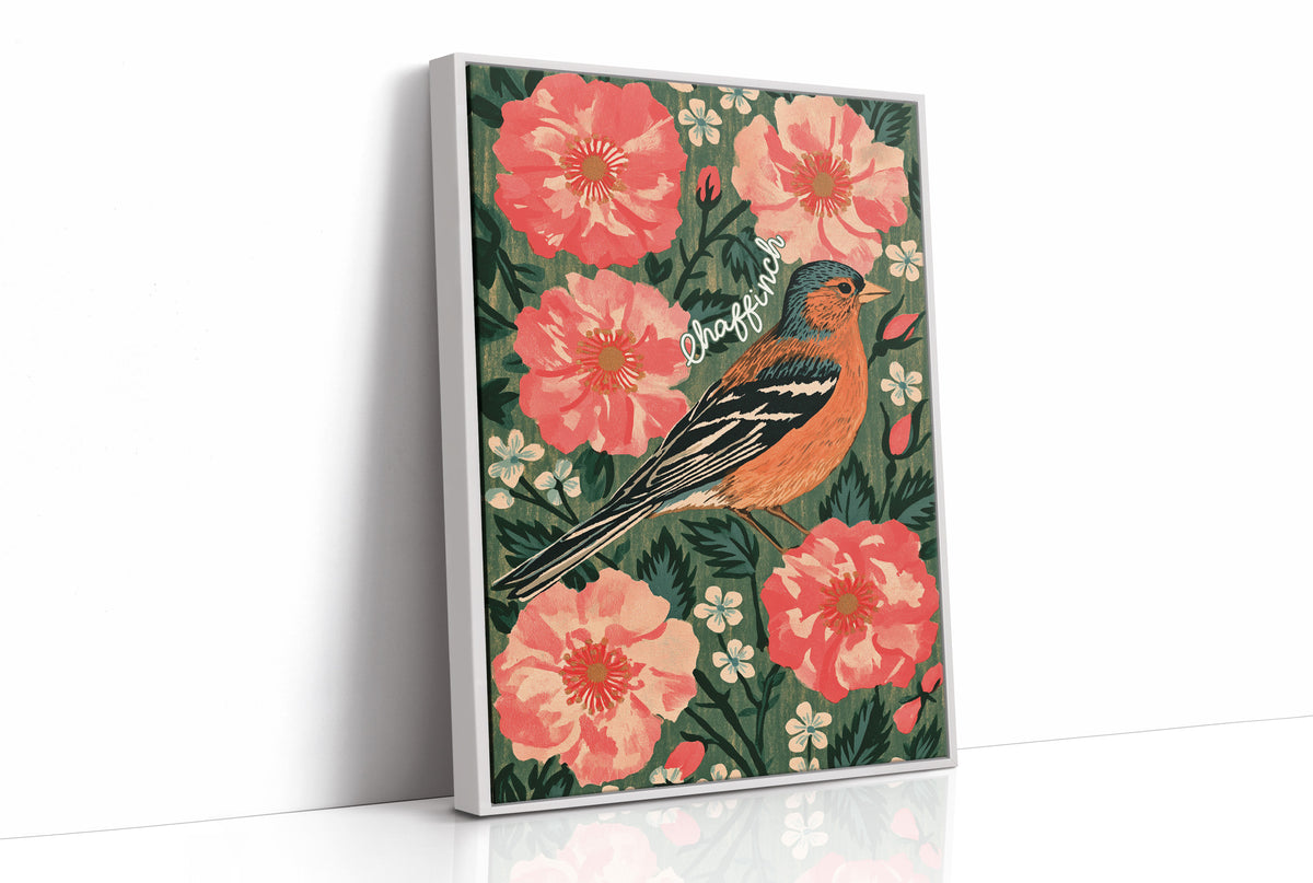 Chaffinch in Full Bloom