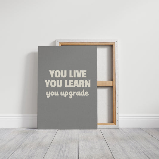 You Live You Learn You Upgrade