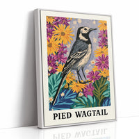 Pied Wagtail in Wildflower Garden
