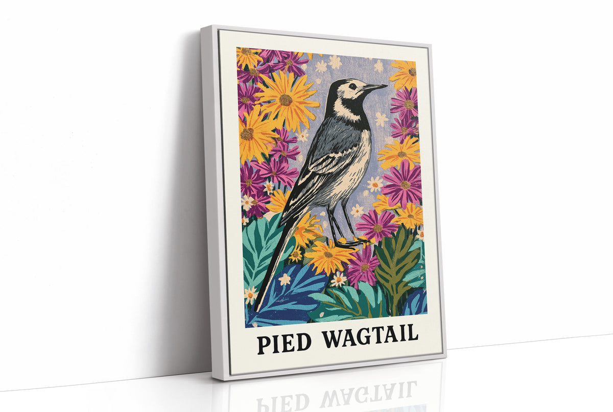 Pied Wagtail in Wildflower Garden