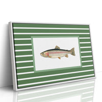Striped Current Rainbow Catch