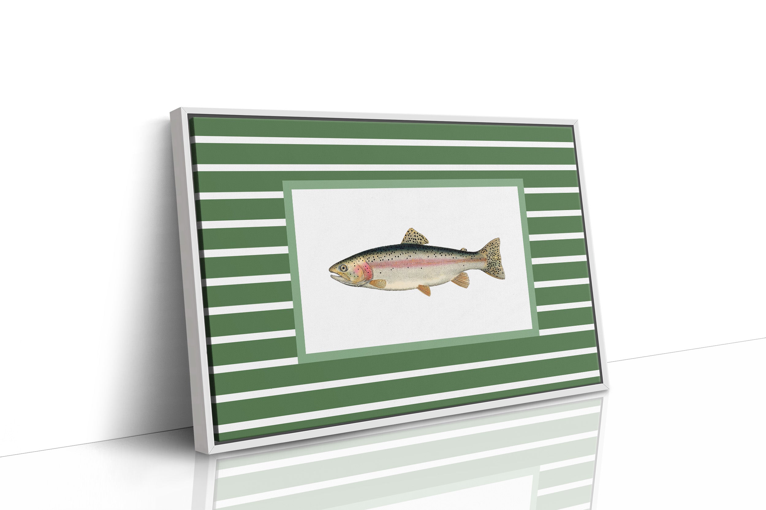 Striped Current Rainbow Catch