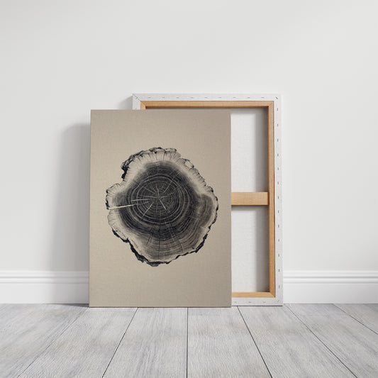 Time Rings Above Urban Spirits