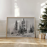 Winter Pines Stand Silent Watch