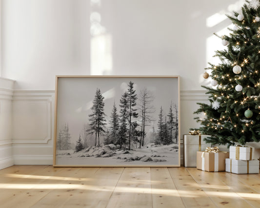 Winter Pines Stand Silent Watch