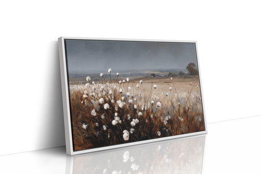 Fields of Cotton and Promise